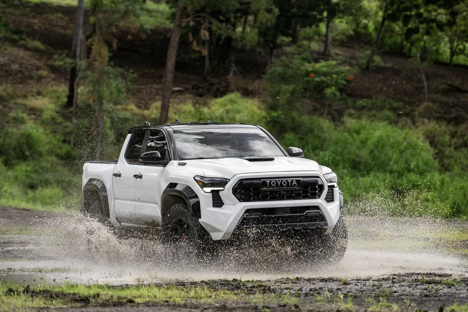 Toyota Tacoma 2020 Expedition