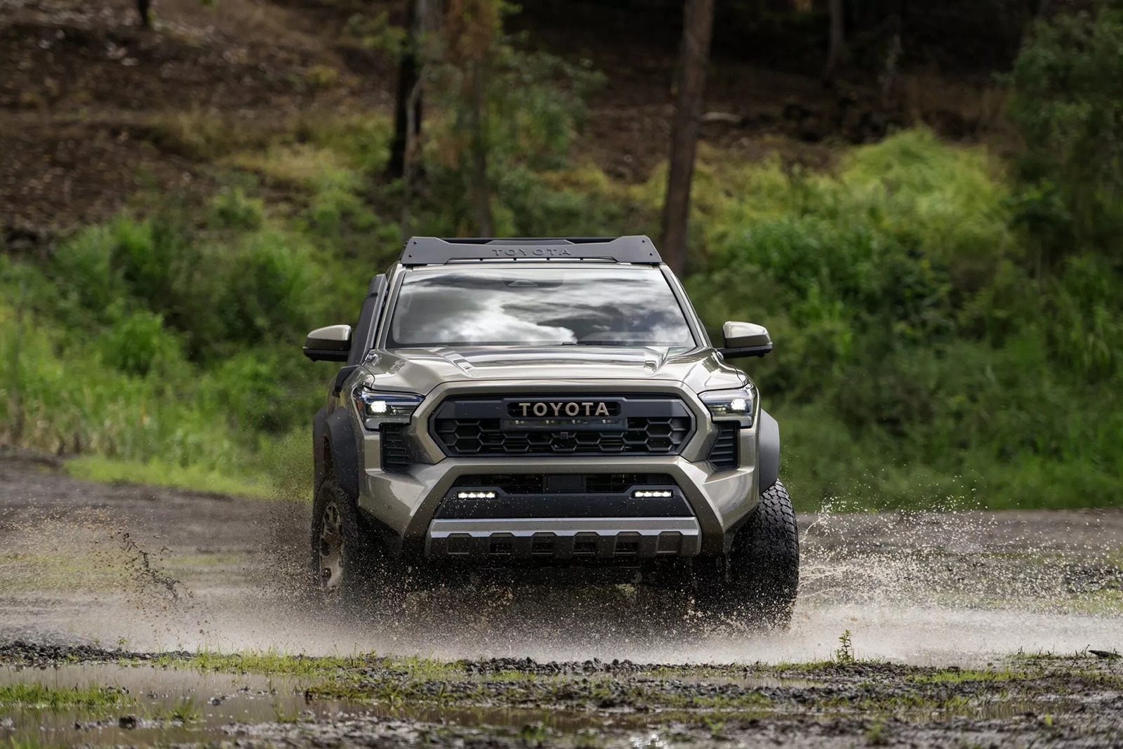 Toyota Tacoma Crew Cab